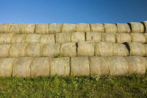 Hooibalen Gelijkmatig Gestapeld Groene Weiden — Stockfoto