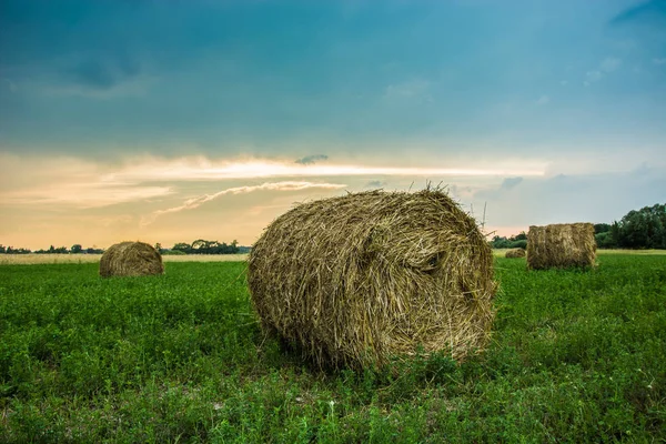 Runda Höbalar Grön Äng Vid Soluppgången — Stockfoto