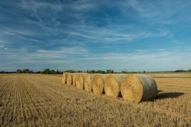 Alan, ufuk ve mavi gökyüzü bir satırda düzenlenen saman balya