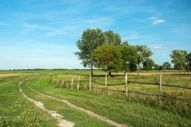 Kırsal yol yeşil çayır, ahşap çit ve ağaçlar