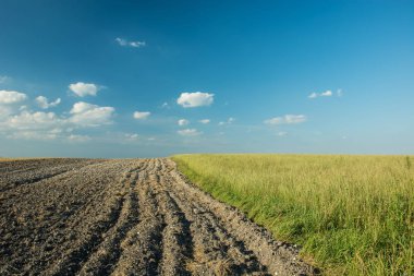 Sürülmüş alanı çevreleyen, bir yeşil çayır, ufuk ve beyaz bulutların üzerinde mavi bir gökyüzü