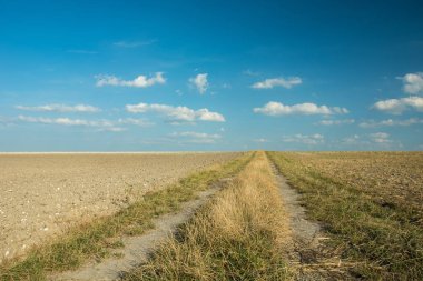 Toprak yol ile sürülmüş alanlar, ufuk ve beyaz bulutlar üzerinde mavi bir gökyüzü