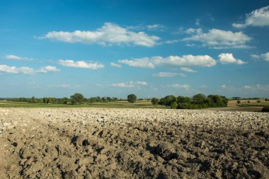 Sürülmüş alan, ufukta ağaçlar ve beyaz bulutların üstünde mavi bir gökyüzü