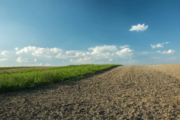 Sürülmüş alan, ufuk ve beyaz bulutların üzerinde mavi bir gökyüzü bir şerit