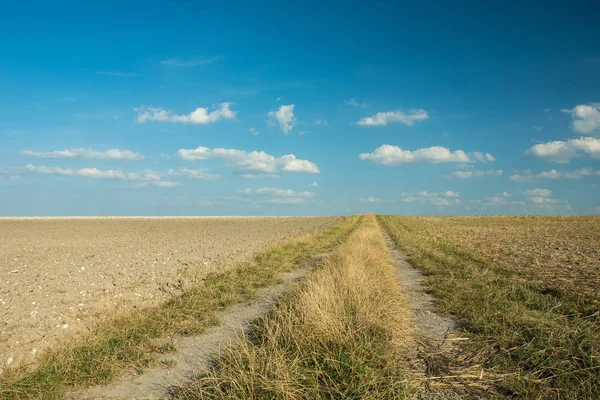Toprak yol ile sürülmüş alanlar, ufuk ve beyaz bulutlar üzerinde mavi bir gökyüzü