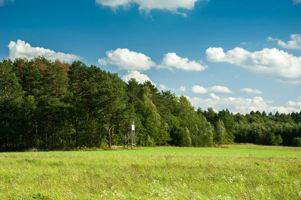 Green meadow, pulpit for hunting in front of the forest and white clouds on blue sky