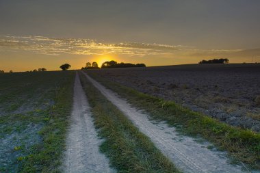 Ufuk ve sürülmüş alan, akşam gökyüzü ve gün batımı doğru yol ülke