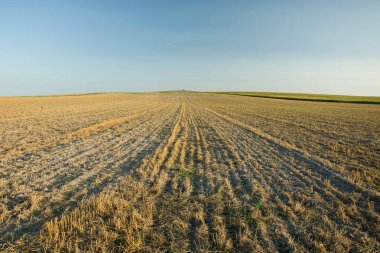 Ufuk ve mavi bir bulutsuz gökyüzü doğru alanında büyük olmasını sağlar