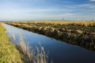 Mavi nehir ve mavi gökyüzü