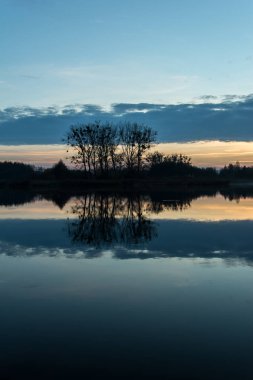 Gri bulut ve güneş battıktan sonra göle yansıtan ağaçlar