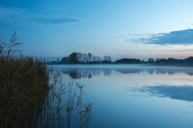 Sakin göl ve akşam sis kenarındaki sazlar