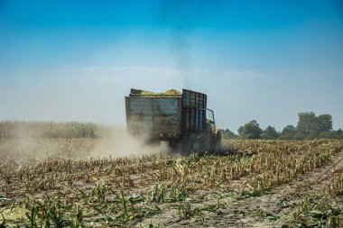Arkasında bir traktör ile Kuru mısır biçme bir römork alanında, toz