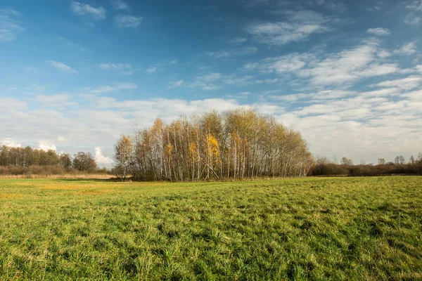 Büyük yeşil çayır, resimleri ve beyaz bulutların üzerinde mavi gökyüzü - sonbahar görünümü