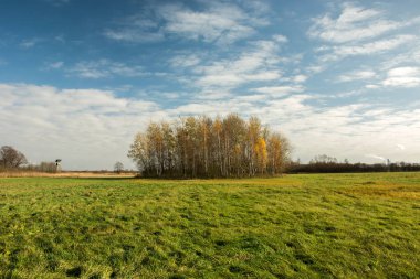 Büyük yeşil çayır, resimleri ve beyaz bulutların üzerinde mavi gökyüzü - sonbahar görünümü