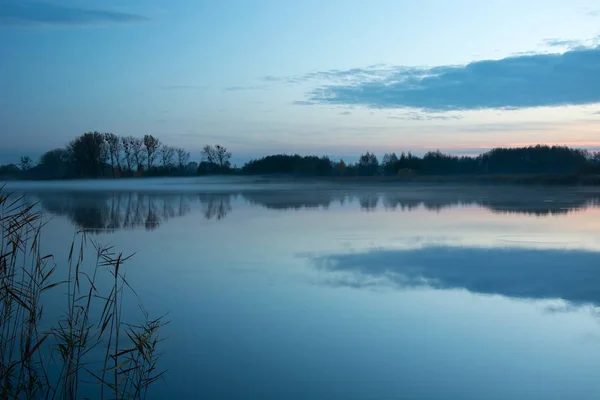 Fog Lake Trees Shore Reflecting Water Sunset — ストック写真