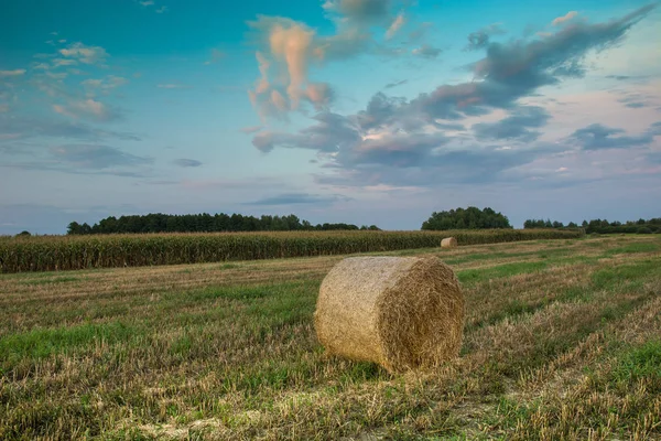 Runda Höbalen Fältet Och Kvällen Färgglada Moln Efter Solnedgången — Stockfoto