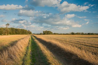 Yolda mowed alanları, ufuk ve mavi gökyüzünde beyaz bulutlar ağaçlar