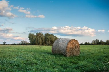 Bir yeşil çayır üzerinde yalan saman balya yuvarlak resimleri ve mavi gökyüzünde bulut