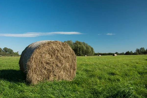 Een Grote Baal Gemaaide Hooi Liggend Een Groene Weide Horizon — Stockfoto