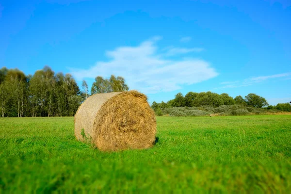 Jeden Balíku Sena Ležící Zelenou Louku Les Bílý Oblak Modré — Stock fotografie