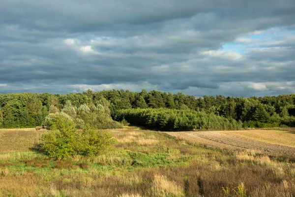 Prados Campos Bosque Verde Nubes Oscuras Lluviosas Vista Rural — Foto de Stock