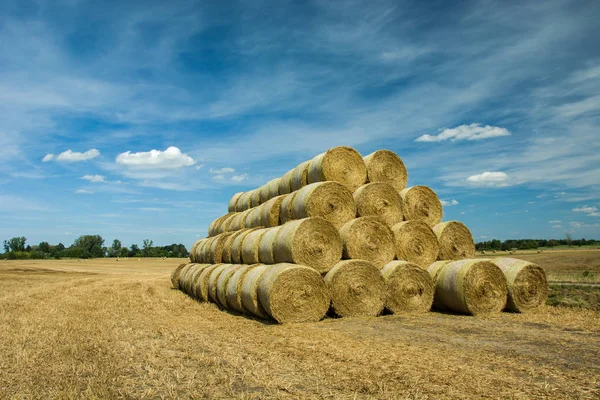 Staplade Balar Fältet Och Blå Himmel — Stockfoto