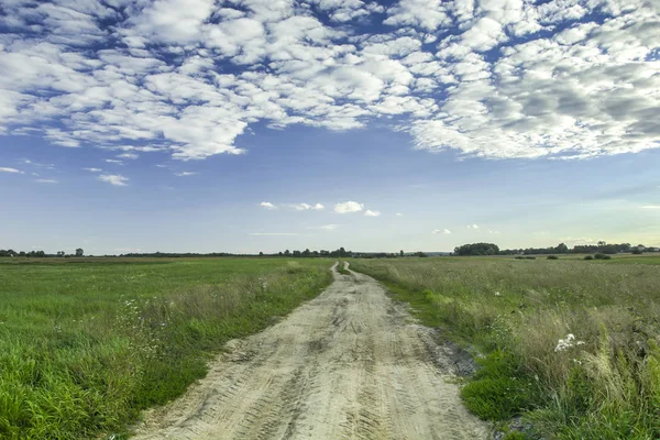 Uzun toprak yol vahşi yeşil çayır ve beyaz bulutların üstünde mavi bir gökyüzü