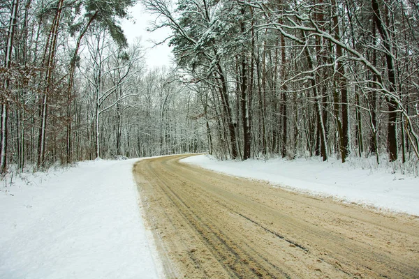 Sable Avec Neige Sur Route Travers Forêt Vue Hiver — Photo