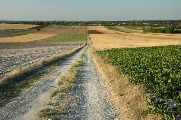 A very long straight road through fields, horizon and blue sky