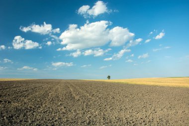 Sürülmüş alan ve mesafe ağacında