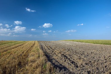 Anız, ufuk ve beyaz bulutlar mavi gökyüzü üzerinde sınırlanmıştır sürülmüş alan