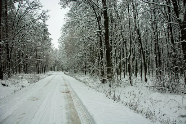 Ένα Απλό Χιονισμένο Δρόμο Μέσα Από Δάσος Δείτε Μέρα Του — Φωτογραφία Αρχείου