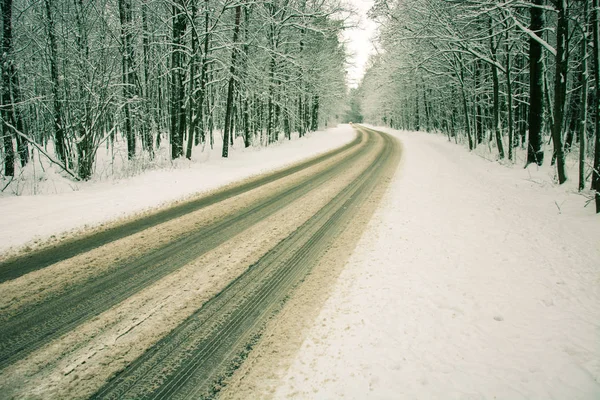 Route Asphaltée Travers Forêt Couverte Neige Vue Hiver — Photo