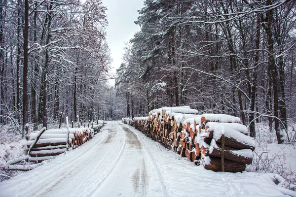 Grumes Bois Bord Route Travers Forêt Mystique Belle Journée Hiver — Photo