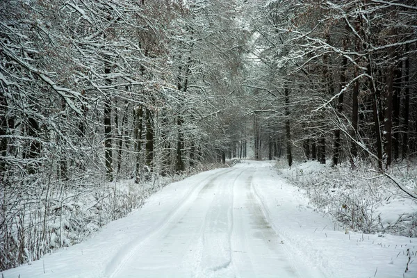 雪に覆われた道路美神秘的な森の中の冬の日を表示 — ストック写真