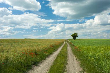Toprak yol alanları ve çayırlar, yalnız bir ağaç ve bulutlar gökyüzünde