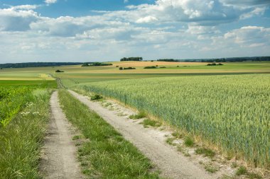 Uzun toprak yol alanlar, tepeler ve mavi gökyüzünde bulutlar bahçeleri ile