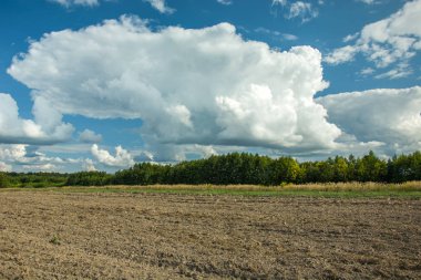 Orman ve beyaz bir bulut gökyüzünde sürülmüş bir alanla görünümünü
