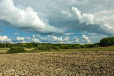 Sürülmüş alan, orman ve beyaz-gri bulutlar mavi gökyüzünde