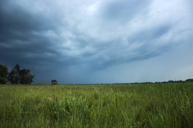 Karanlık fırtınalı bulutlar, ağaçlar ve çayır