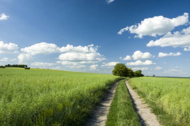 Hill ve yol alanlarını