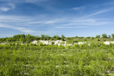Genç orman, tebeşir ve mavi gökyüzü eğimi