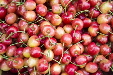 Sarı kırmızı kiraz saplı - arka plan