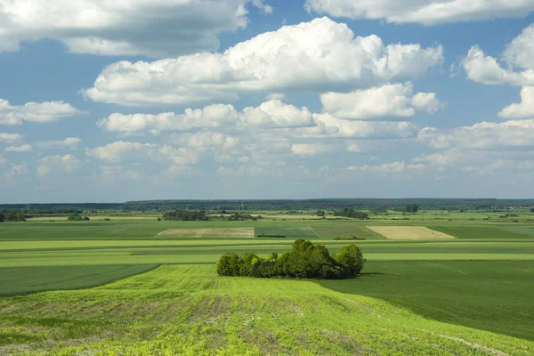 Görüş alanı, resimleri ve bulutlar gökyüzünde