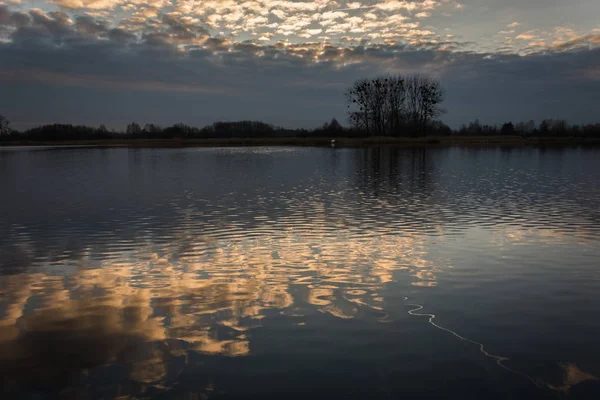 Pohon Pohon Tepi Danau Dan Refleksi Awan Air Tenang — Stok Foto