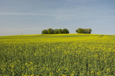 Alan tecavüz hill ve resimleri