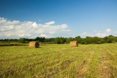 Bobinler üzerinde yeşil bir alana yalan saman
