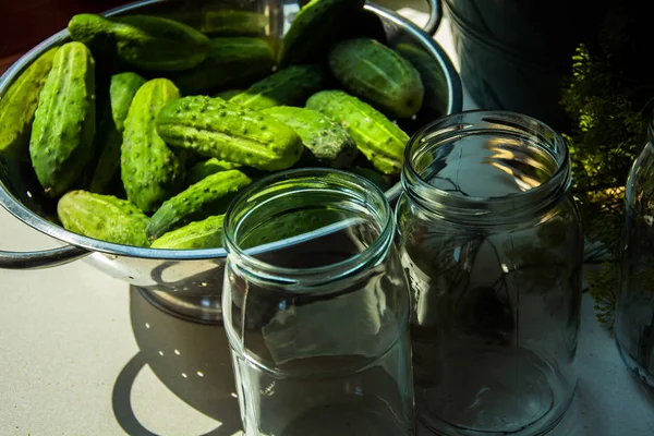 为酸洗准备的带小刺的玻璃瓶和绿色黄瓜 — 图库照片