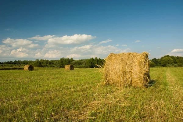 Hay Bales Green Field Forest White Clouds Blue Sky Royalty Free Stock Images