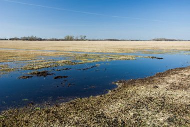 Büyük çayır su ile sular altında